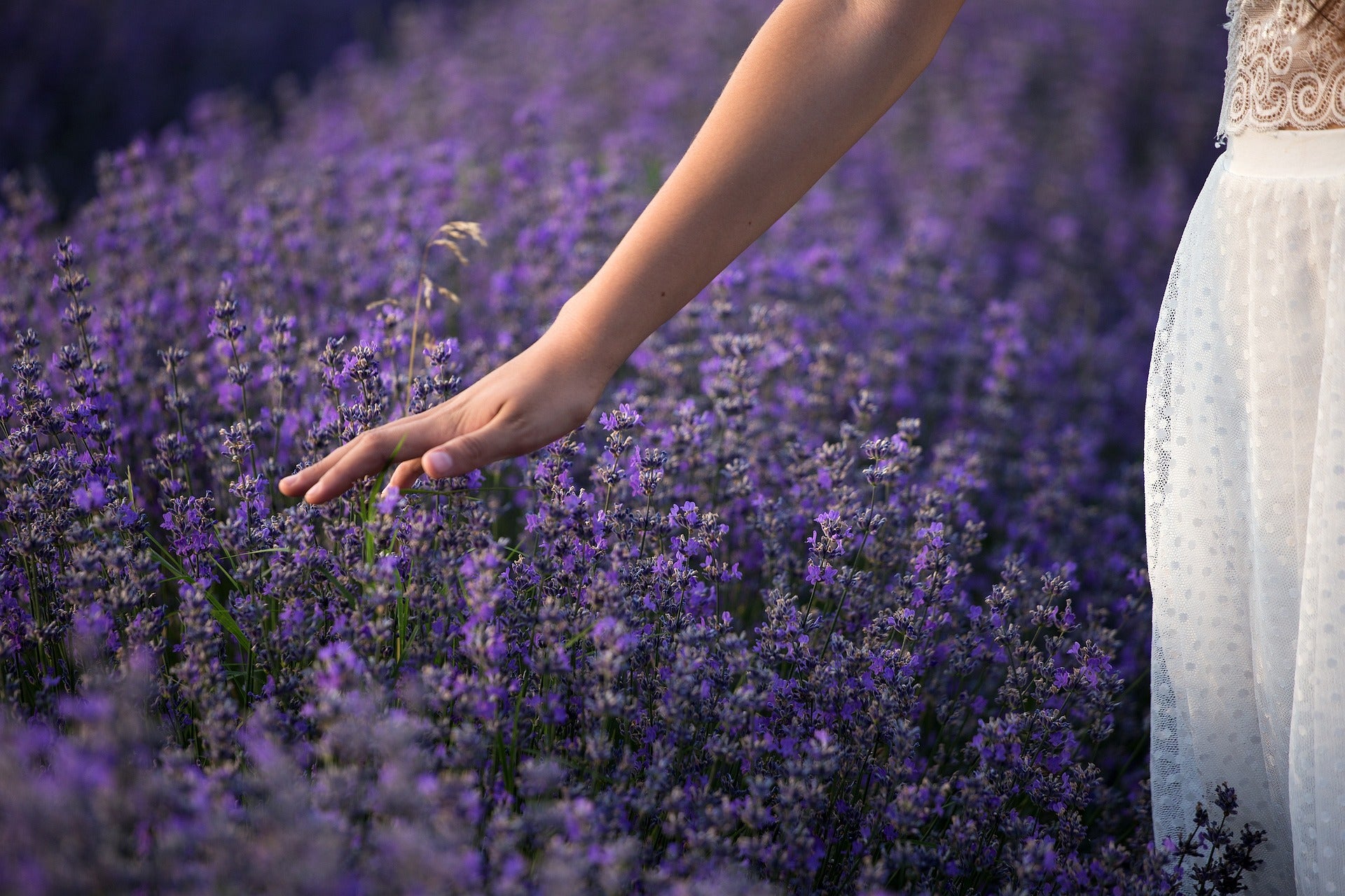 White dress with lavender 2024 flowers